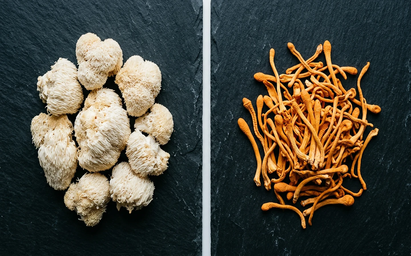Lion's Mane vs Cordyceps: Brain vs Body — Which Is Right…